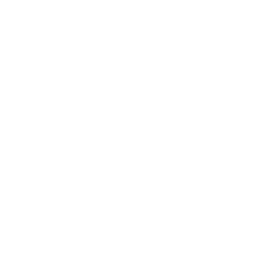APEX
